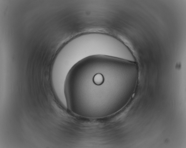 X0000092030201200709271616