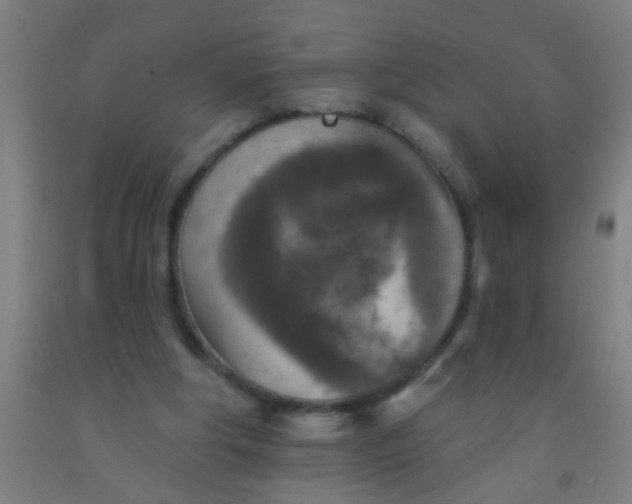 X0000092030202200709271616