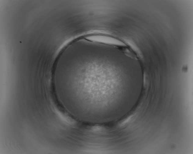 X0000092030204200709271616