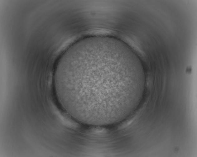 X0000092030206200709271616