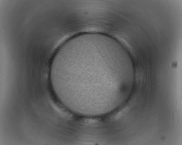 X0000092030208200709271616