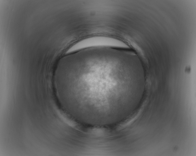 X0000092030209200709271616