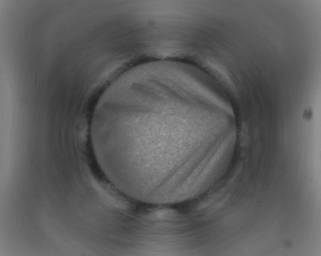 X0000092030210200709271615