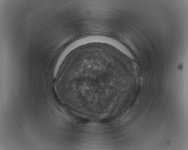 X0000092030211200709271615