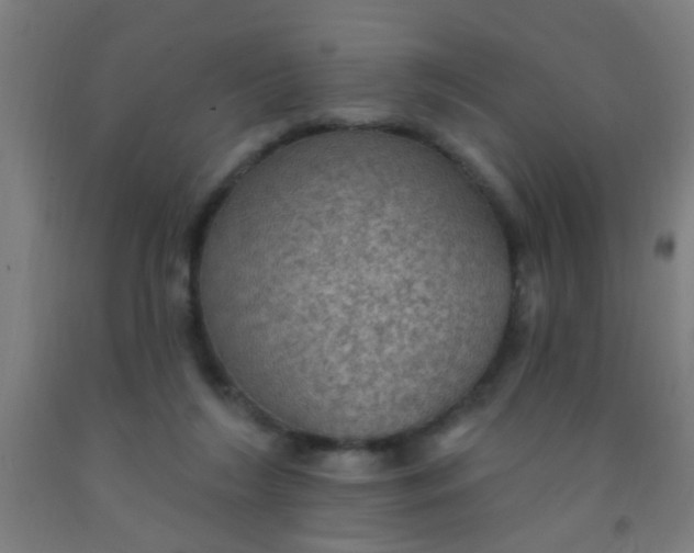 X0000092030212200709271615