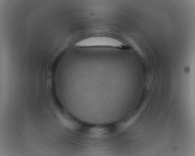 X0000092030213200709271615