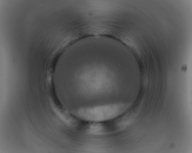 X0000092030214200709271615