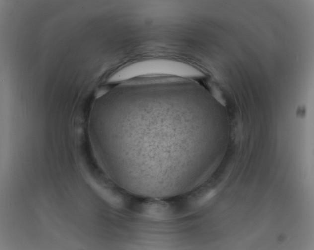 X0000092030215200709271615