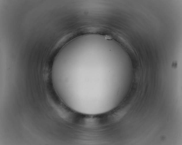 X0000092030216200709271615