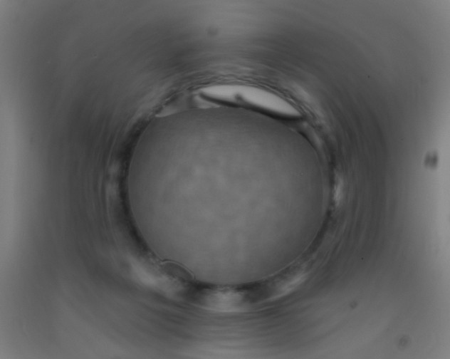 X0000092030217200709271615