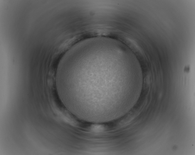 X0000092030218200709271615