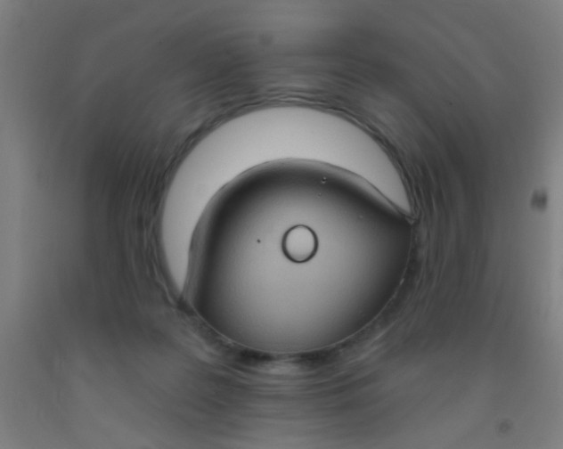 X0000092030219200709271615