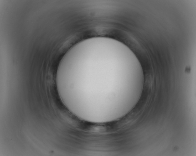 X0000092030220200709271615