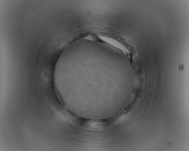 X0000092030221200709271615