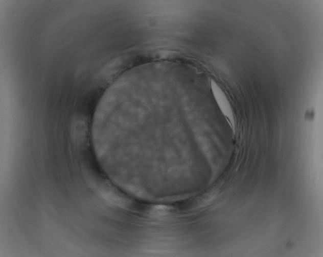 X0000092030222200709271615