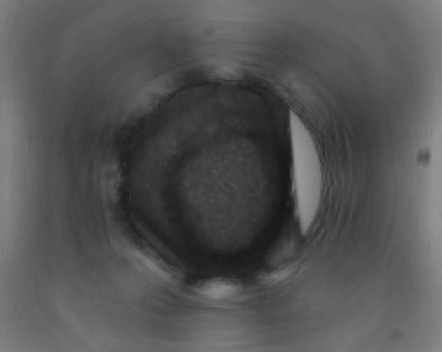 X0000092030223200709271615