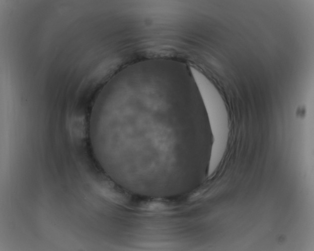 X0000092030224200709271615