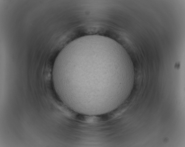 X0000092030226200709271615