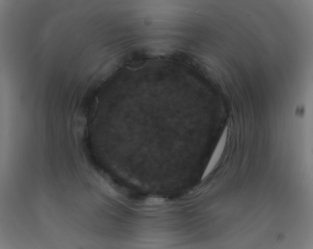 X0000092030227200709271615