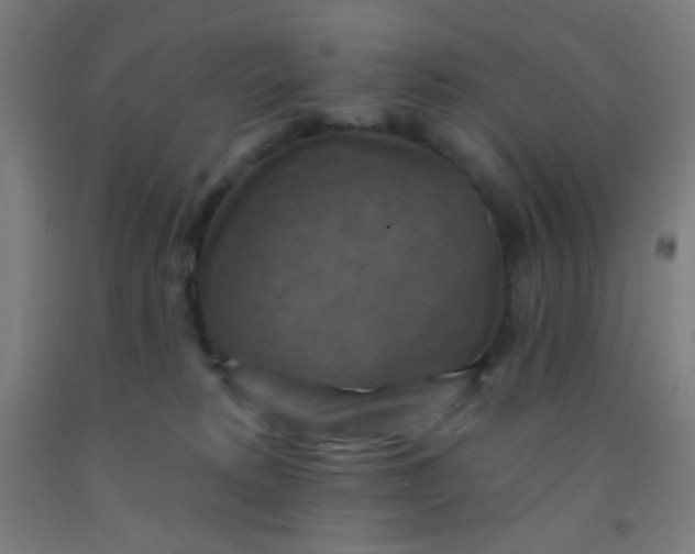 X0000092030229200709271615