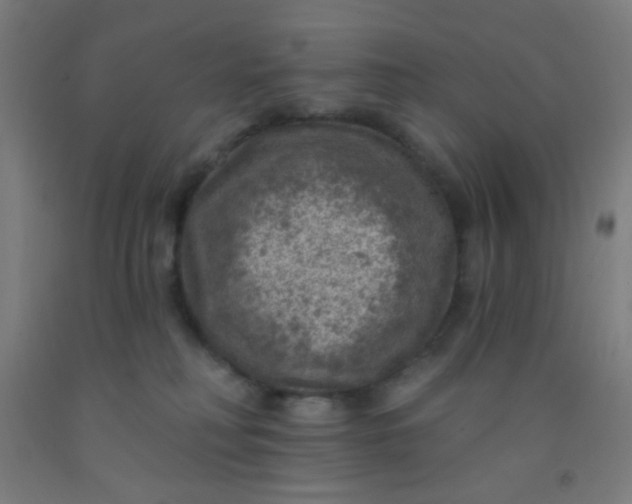 X0000092030230200709271615