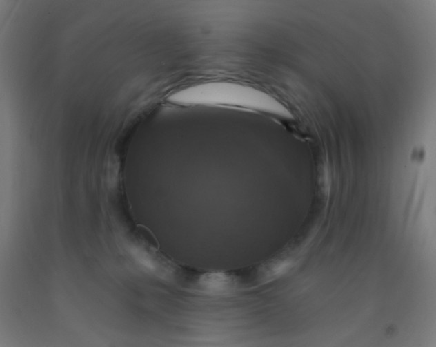 X0000092030231200709271615