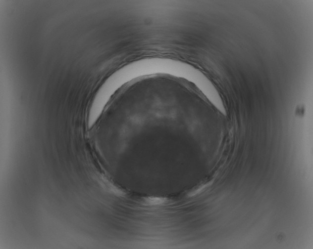 X0000092030233200709271615