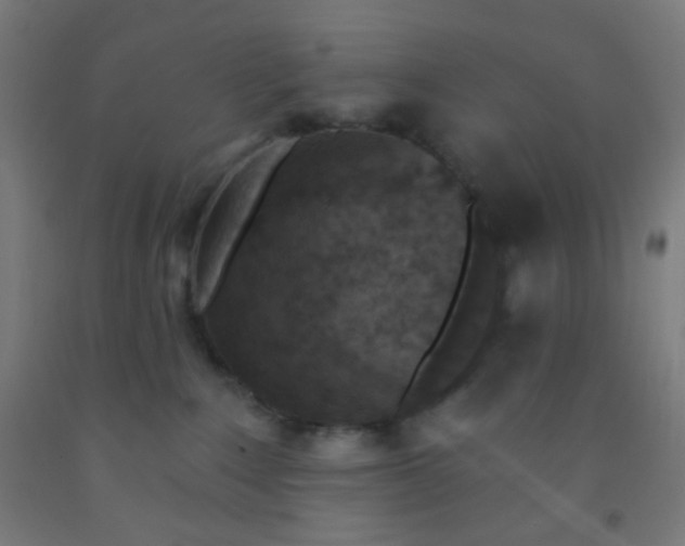 X0000092030235200709271615