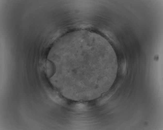 X0000092030236200709271615