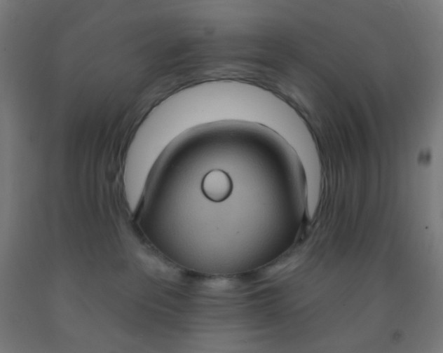 X0000092030237200709271615