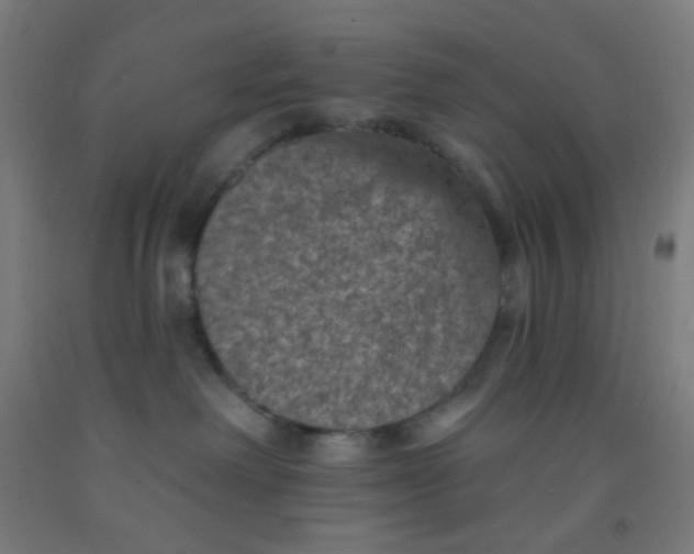 X0000092030238200709271615