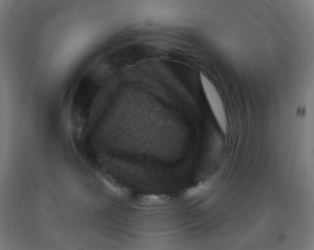 X0000092030239200709271615