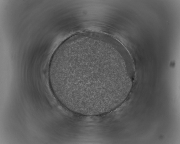 X0000092030241200709271614