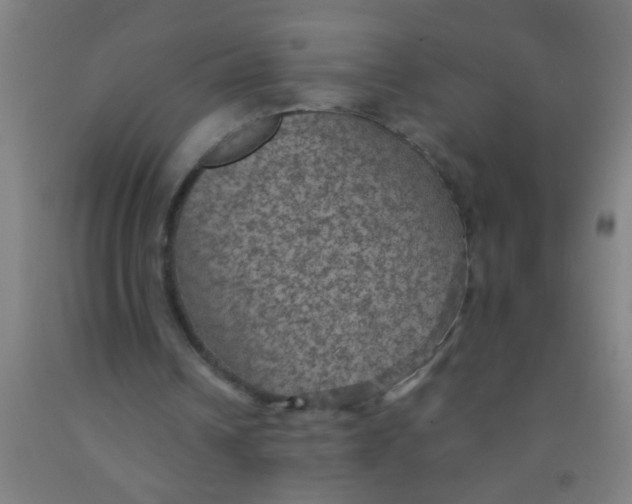 X0000092030242200709271614