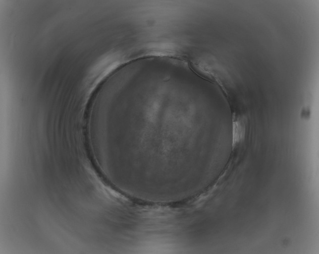 X0000092030243200709271614