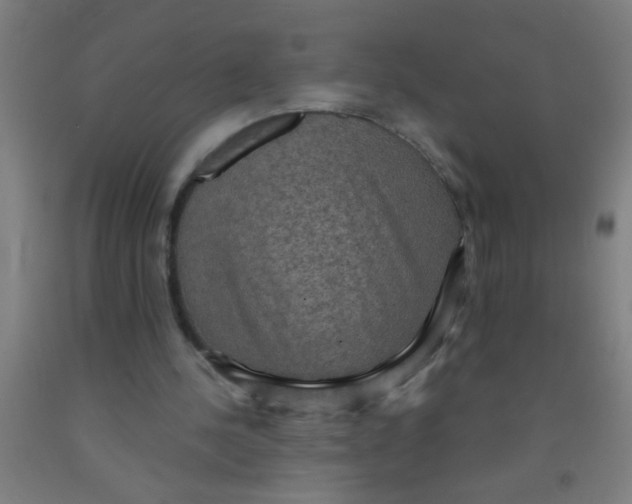 X0000092030244200709271614