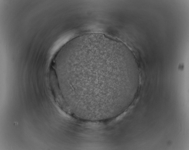 X0000092030245200709271614