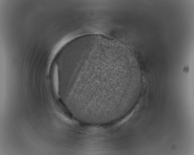 X0000092030246200709271614