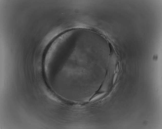 X0000092030247200709271614