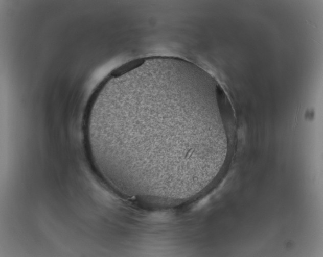 X0000092030248200709271614