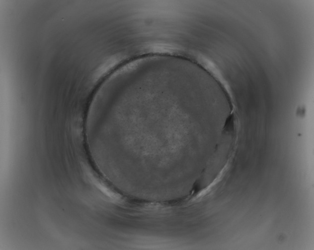 X0000092030249200709271614