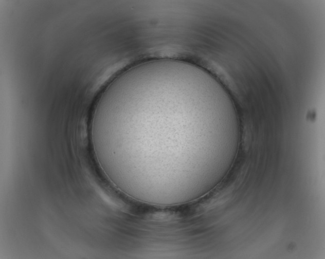 X0000092030251200709271614