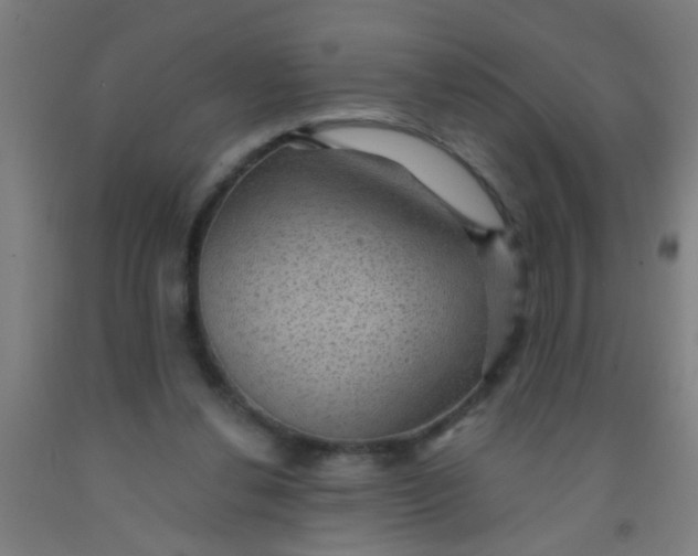 X0000092030252200709271614