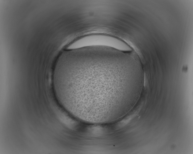 X0000092030253200709271614