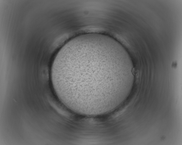 X0000092030254200709271615