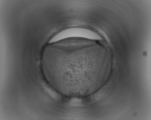 X0000092030257200709271615