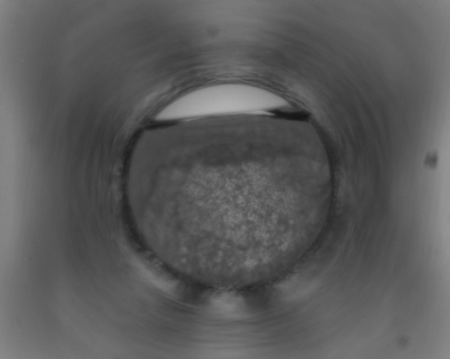 X0000092030258200709271615