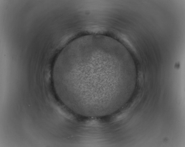 X0000092030259200709271615