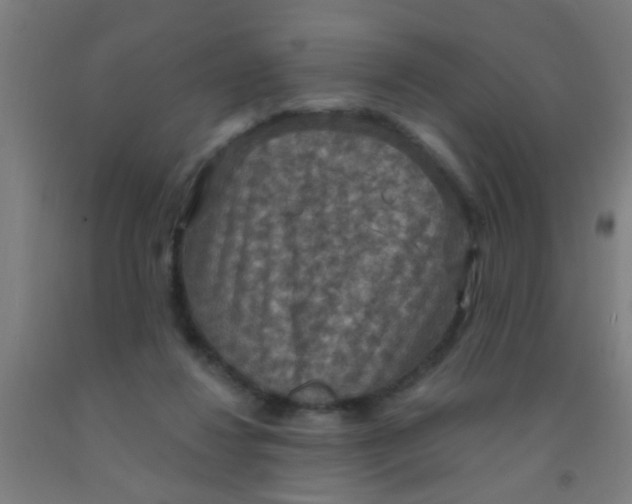 X0000092030260200709271615