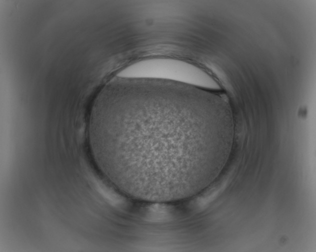 X0000092030261200709271615